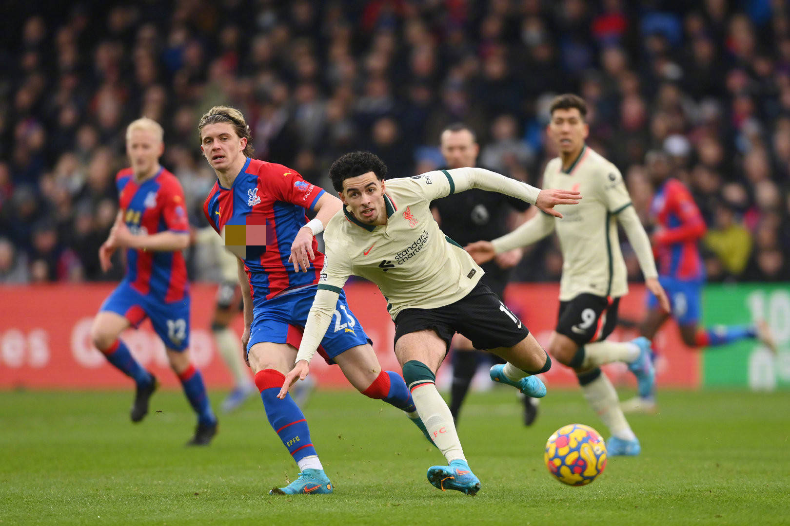 肖的缺席 肖的缺席